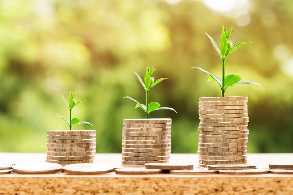 Do you have an it budget